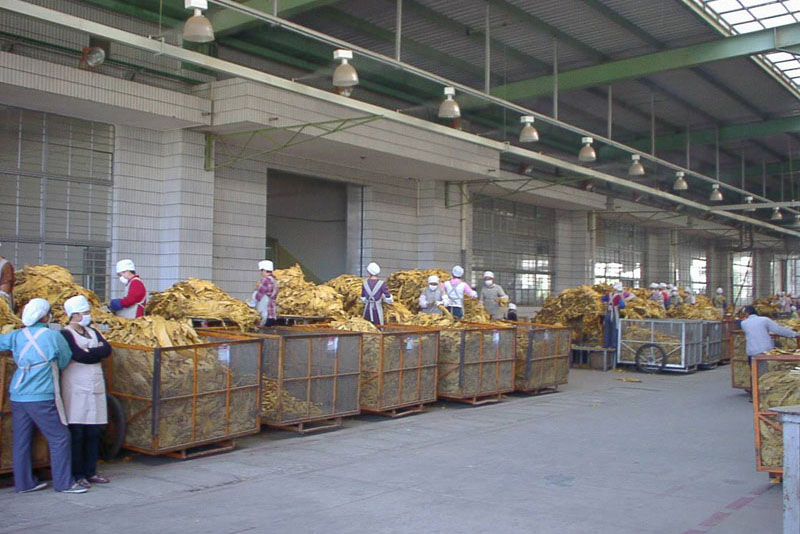 1521683010608065.jpg 煙草輪轉區.jpg