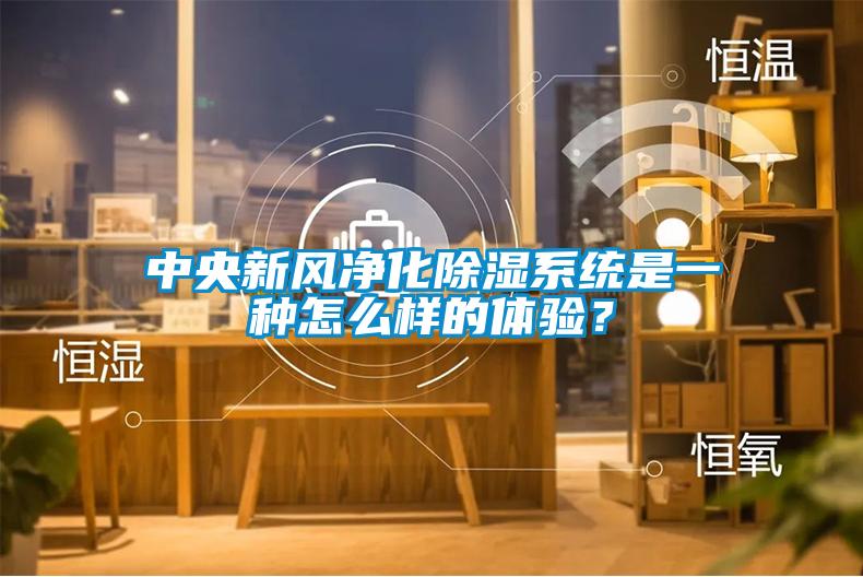 中央新風(fēng)凈化除濕系統(tǒng)是一種怎么樣的體驗(yàn)?