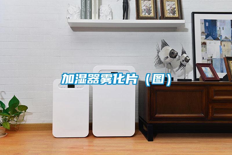 加濕器霧化片(圖)