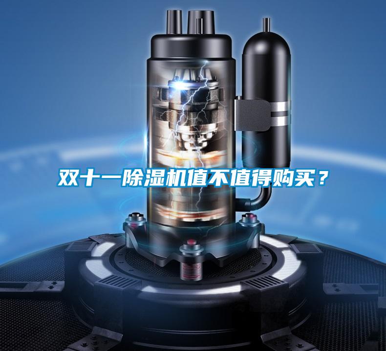 雙十一除濕機值不值得購買?