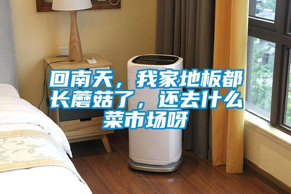 回南天,我家地板都長蘑菇了,還去什么菜市場(chǎng)呀