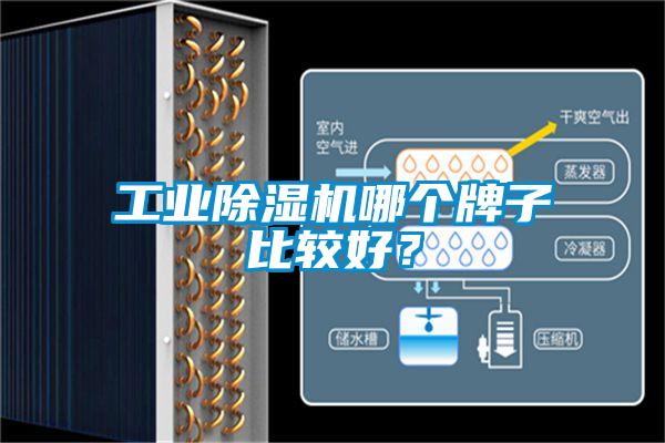 工業(yè)除濕機(jī)哪個(gè)牌子比較好?