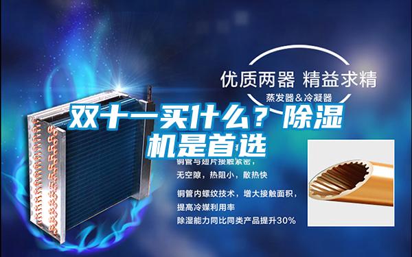 雙十一買什么?除濕機(jī)是首選