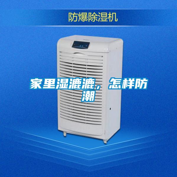 家里濕漉漉，怎樣防潮