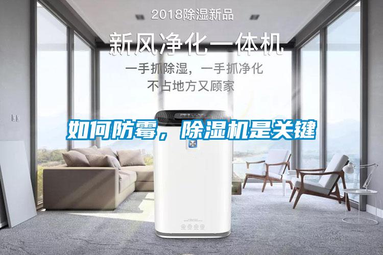 如何防霉,除濕機是關(guān)鍵