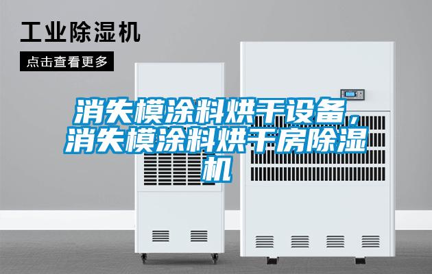 消失模涂料烘干設備，消失模涂料烘干房除濕機