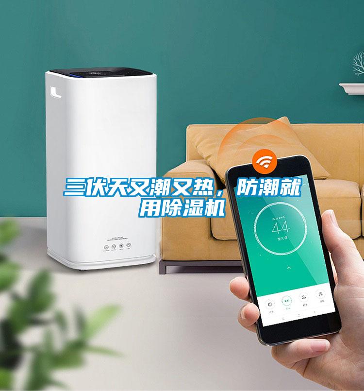 三伏天又潮又熱，防潮就用除濕機