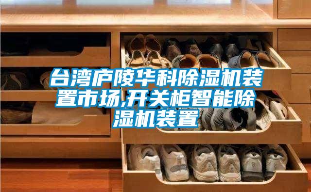 臺(tái)灣廬陵華科除濕機(jī)裝置市場(chǎng),開關(guān)柜智能除濕機(jī)裝置