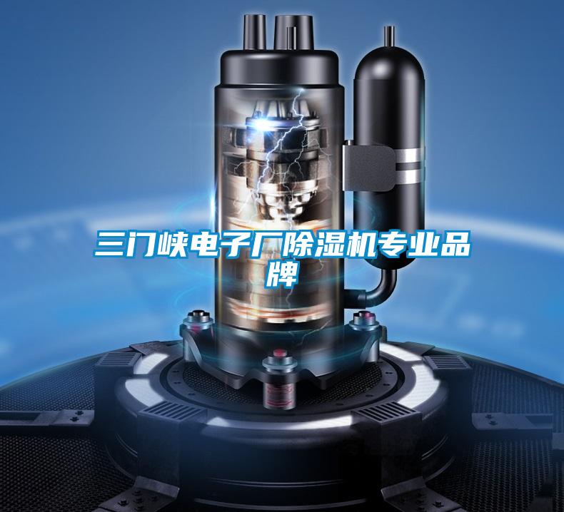 三門(mén)峽電子廠除濕機(jī)專(zhuān)業(yè)品牌
