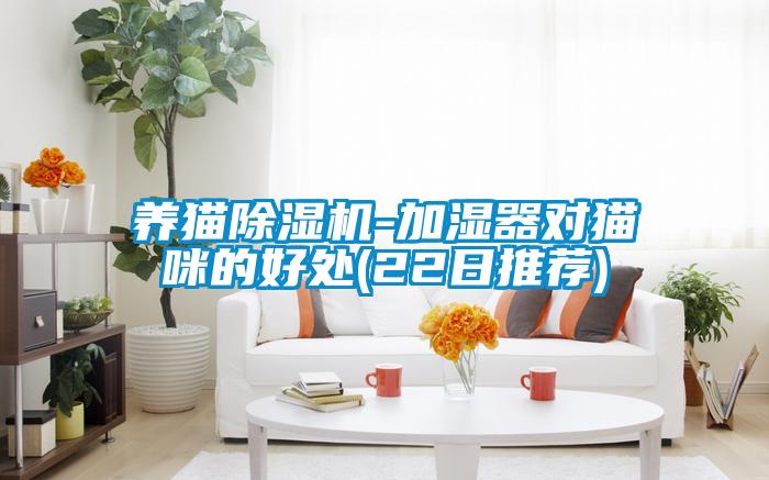 養(yǎng)貓除濕機(jī)-加濕器對貓咪的好處(22日推薦)