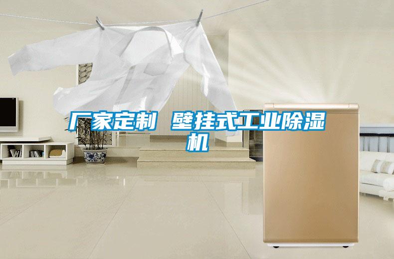 廠家定制 壁掛式工業除濕機