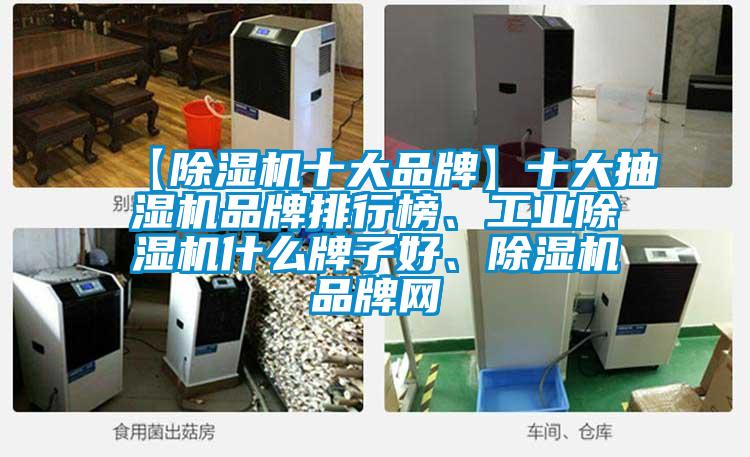 【除濕機十大品牌】十大抽濕機品牌排行榜、工業除濕機什么牌子好、除濕機品牌網