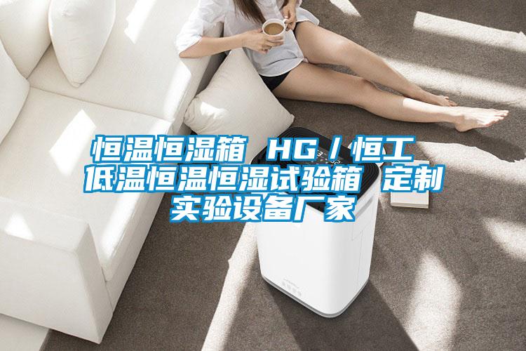 恒溫恒濕箱 HG/恒工 低溫恒溫恒濕試驗箱 定制實驗設(shè)備廠家