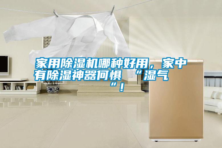 家用除濕機哪種好用，家中有除濕神器何懼 “濕氣 “！
