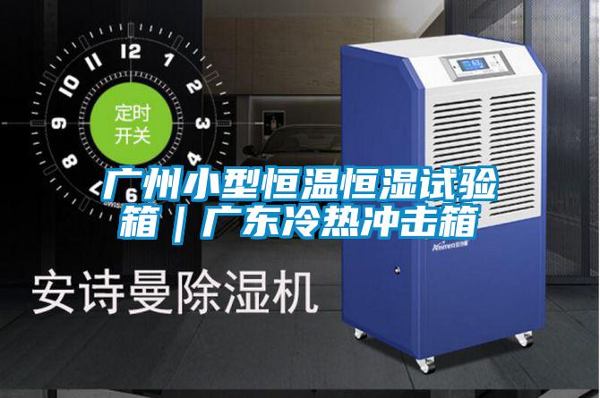 廣州小型恒溫恒濕試驗(yàn)箱|廣東冷熱沖擊箱