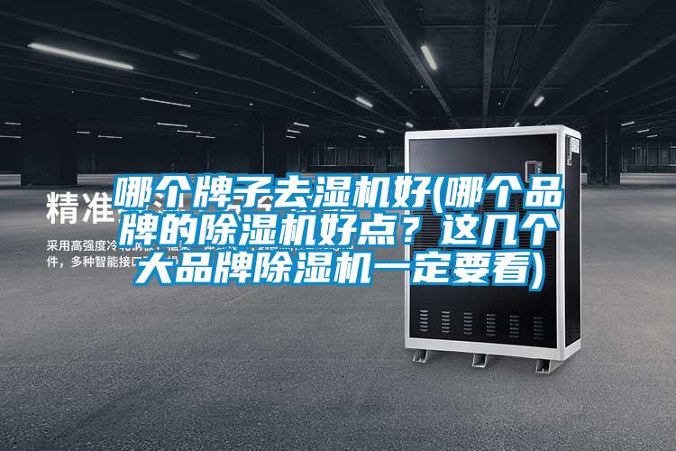 哪個(gè)牌子去濕機(jī)好(哪個(gè)品牌的除濕機(jī)好點(diǎn)？這幾個(gè)大品牌除濕機(jī)一定要看)