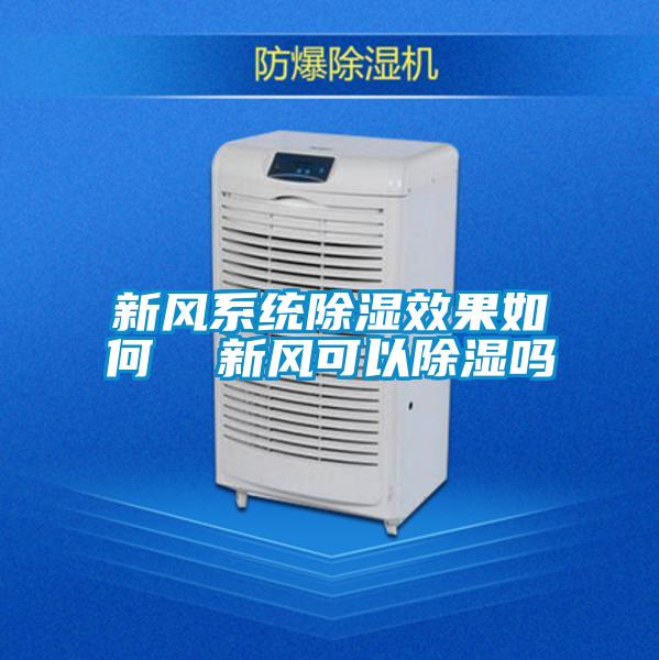 新風系統除濕效果如何 新風可以除濕嗎