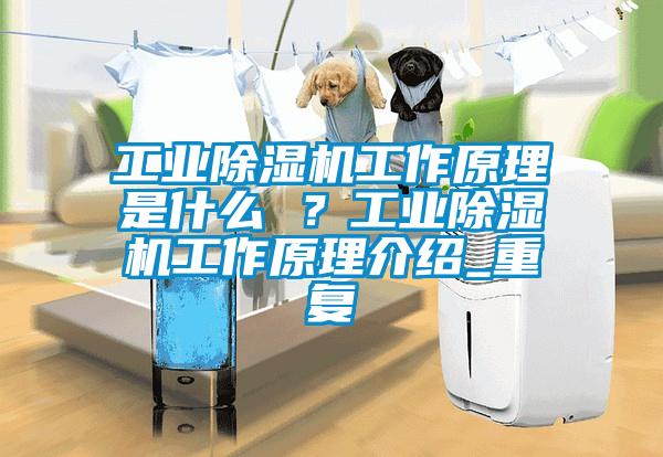 工業除濕機工作原理是什么 ？工業除濕機工作原理介紹_重復