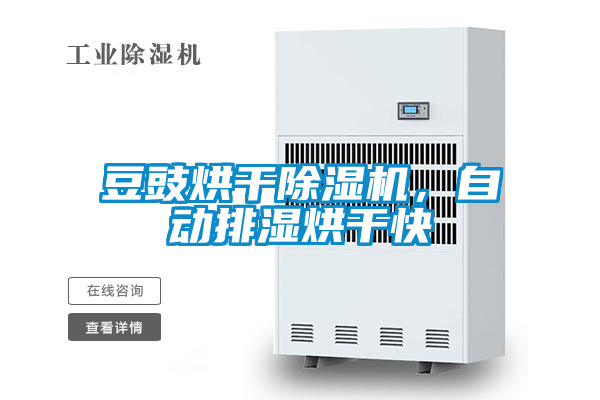 豆豉烘干除濕機(jī)，自動(dòng)排濕烘干快