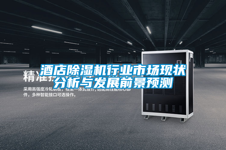 酒店除濕機行業(yè)市場現(xiàn)狀分析與發(fā)展前景預(yù)測