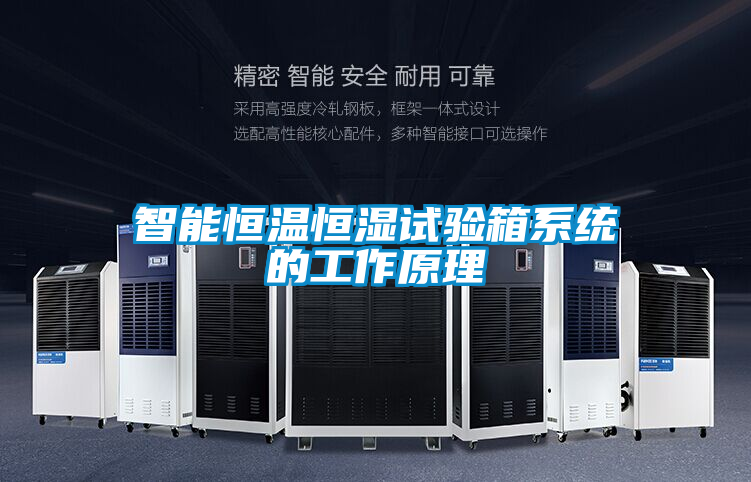 智能恒溫恒濕試驗箱系統的工作原理