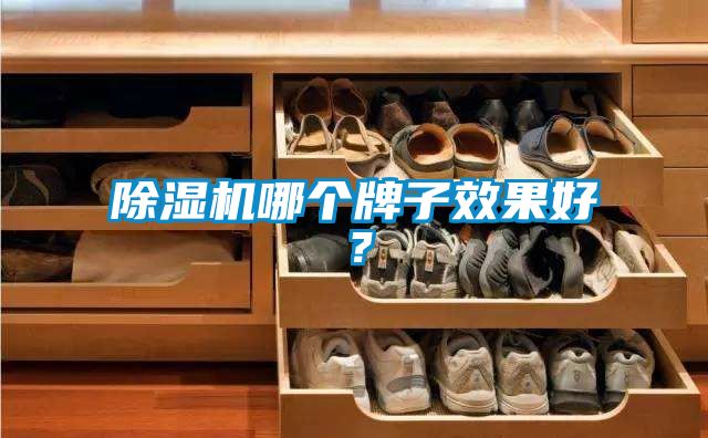 除濕機(jī)哪個(gè)牌子效果好？