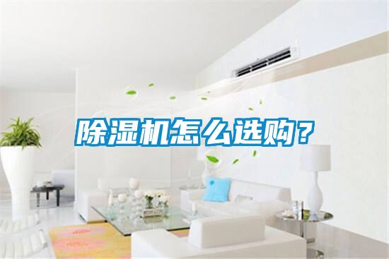 除濕機(jī)怎么選購(gòu)?
