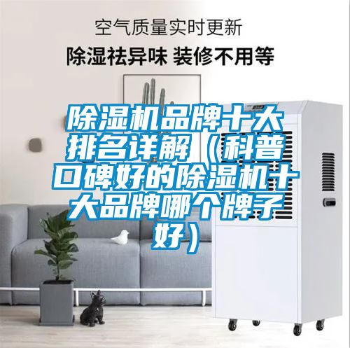 除濕機(jī)品牌十大排名詳解(科普口碑好的除濕機(jī)十大品牌哪個(gè)牌子好)