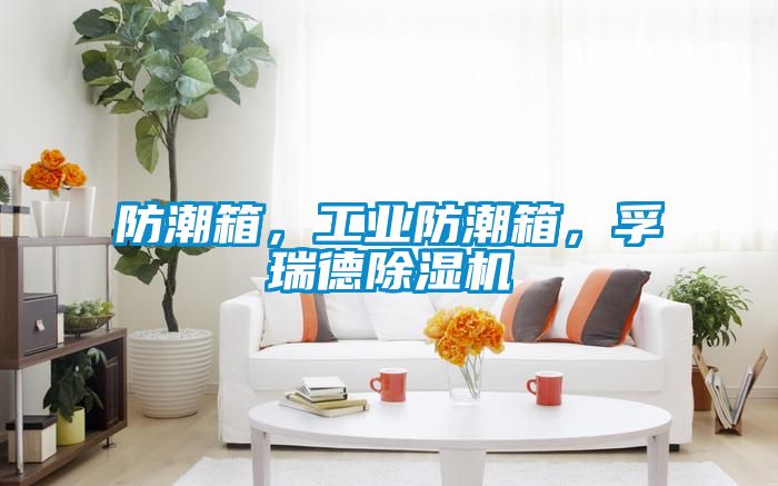 防潮箱，工業(yè)防潮箱，孚瑞德除濕機(jī)