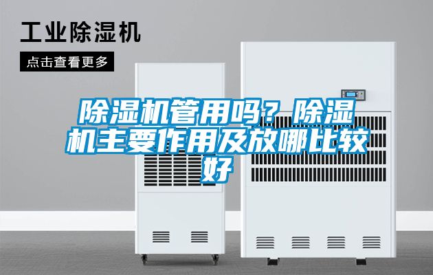 除濕機管用嗎？除濕機主要作用及放哪比較好