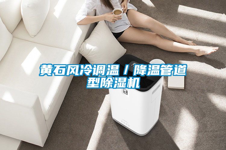 黃石風冷調(diào)溫／降溫管道型除濕機